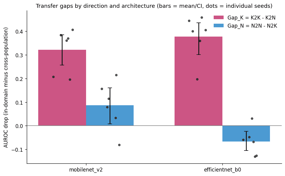 Bar chart of transfer gaps by architecture: Gap_K is large for both MobileNetV2 and EfficientNet-B0, while Gap_N is small for MobileNetV2 and negative for EfficientNet-B0; dots show individual seeds